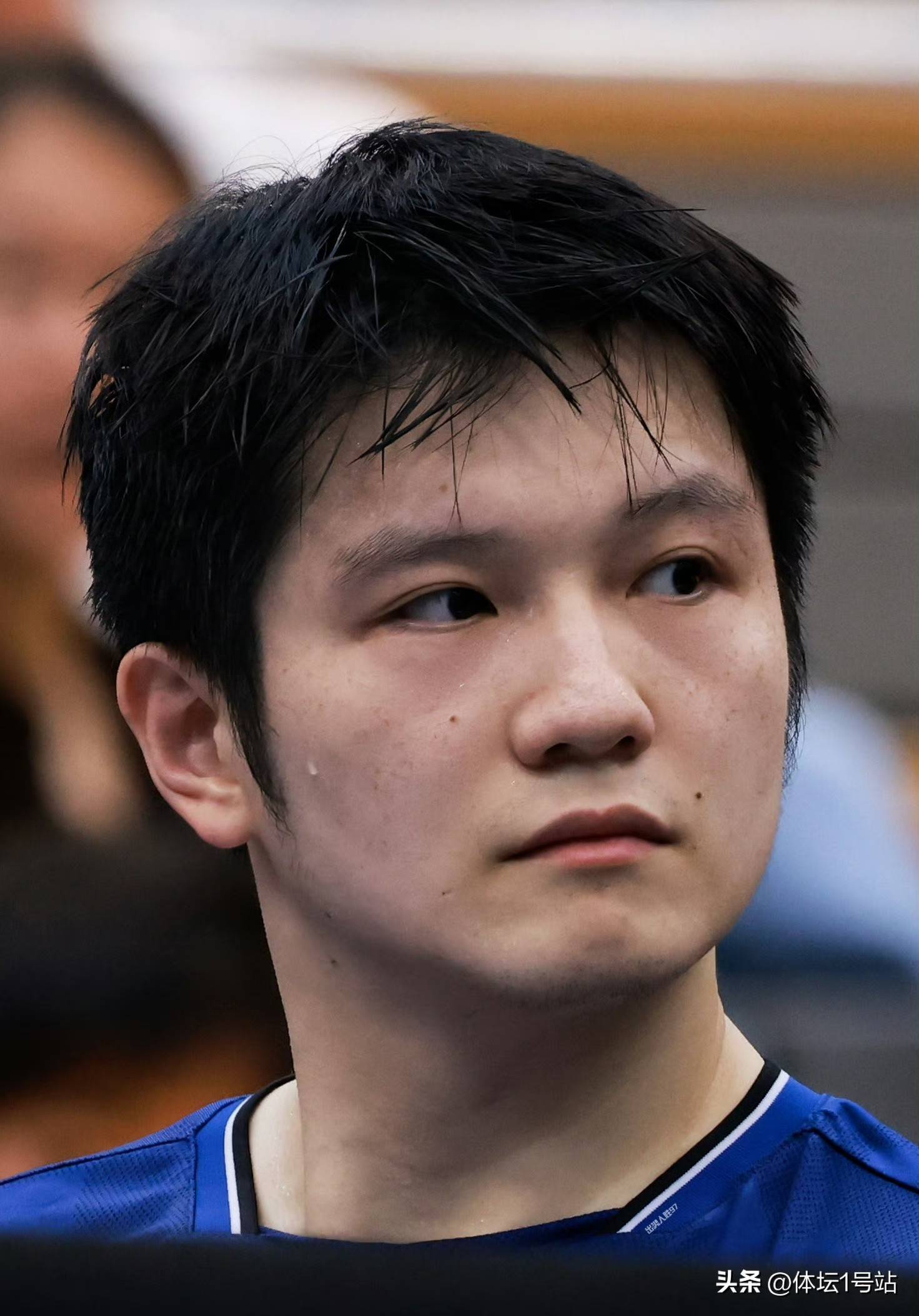 波兰队鏖战瑞典队，樊振东扛起全队