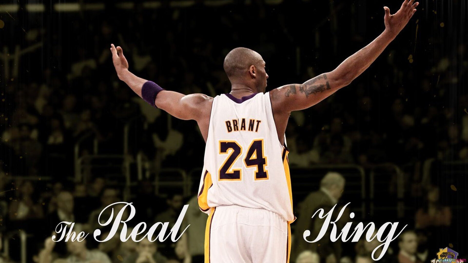 字母哥独木难支，国王队铁蹄之下新疆队末节崩盘背后的篮球哲学